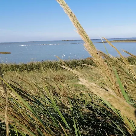 Corte Di Maggio Panzió Imola