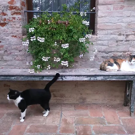 Corte Di Maggio 3* Imola