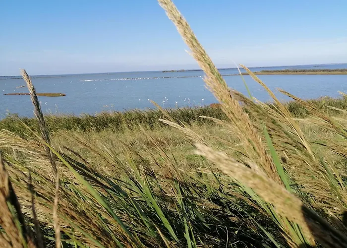 Corte Di Maggio Panzió Imola