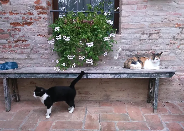 Corte Di Maggio 3* Imola