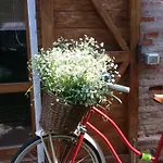 Bed & Breakfast Corte Di Maggio Imola
