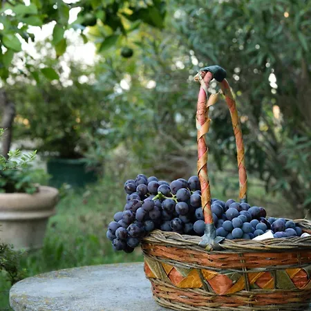 Bed and breakfast Corte Di Maggio Imola