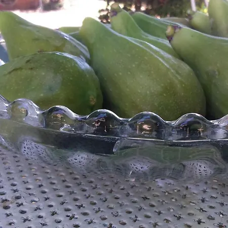 Corte Di Maggio לינה וארוחת בוקר *
