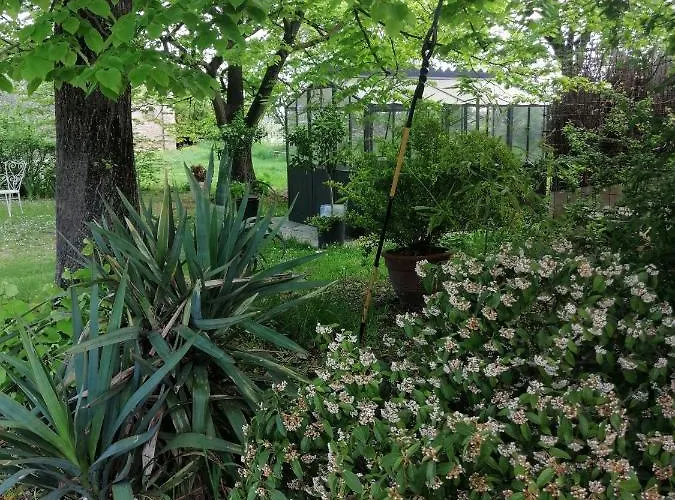 Corte Di Maggio Bed and Breakfast Ίμολα