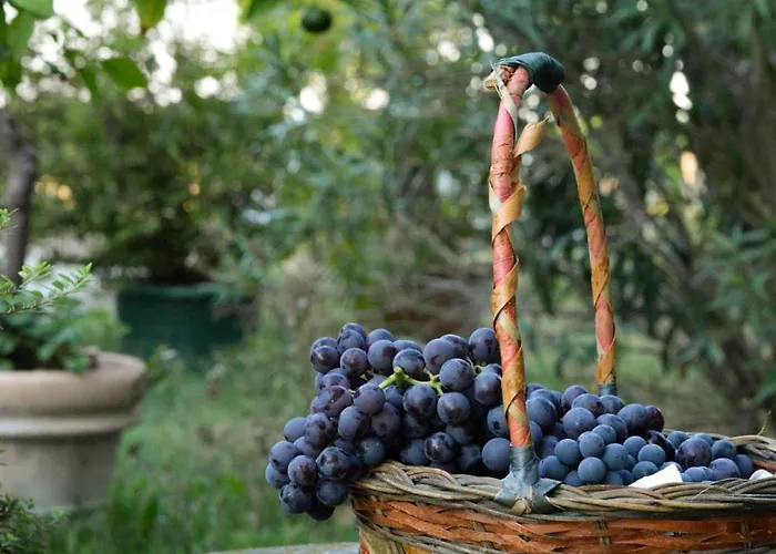 Bed and Breakfast Corte Di Maggio Ίμολα