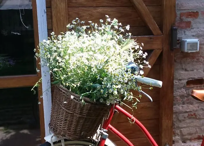 Bed and Breakfast Corte Di Maggio Ίμολα